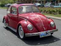 Volskwagen Beetle 5